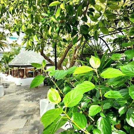 דירה Modern Pool Front In Las Americas